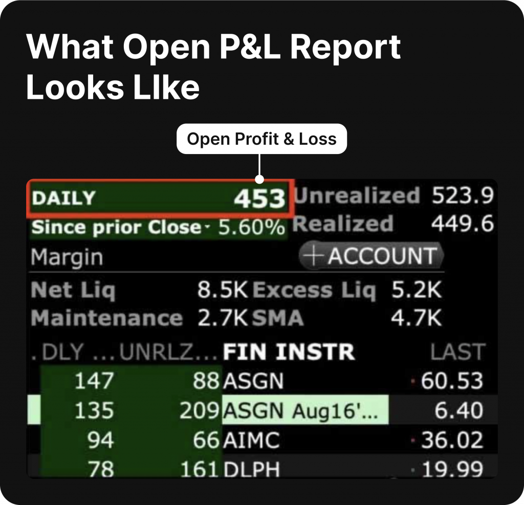 What Open P&L Report Looks LIke