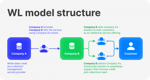 WL model structure